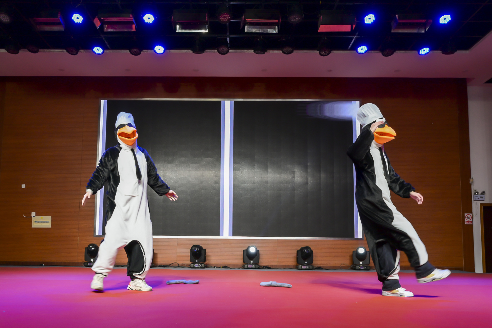 Penguin Dance Equipe executando a Dança do Pinguim
